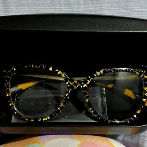 Coach Eyeglasses